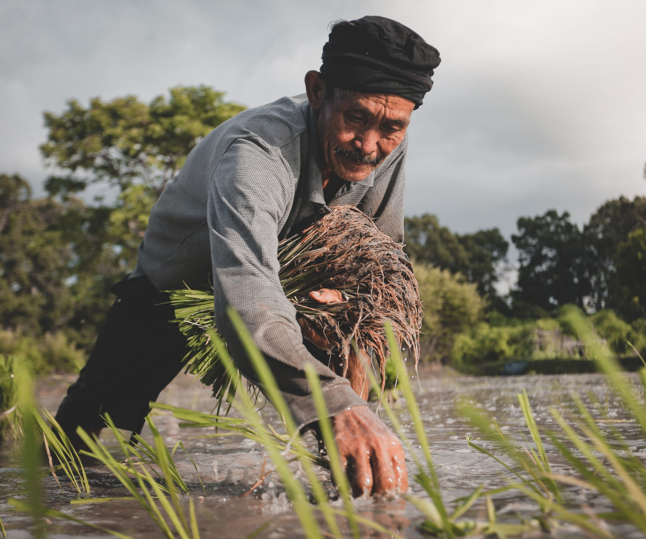 A Filipino farmer (Managbanag, 2020)